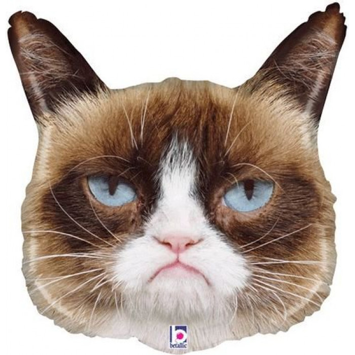 Фигурный шар Сердитая кошка
