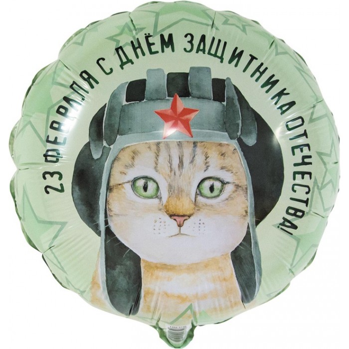 Шар-круг Котик в шлеме на 23 февраля