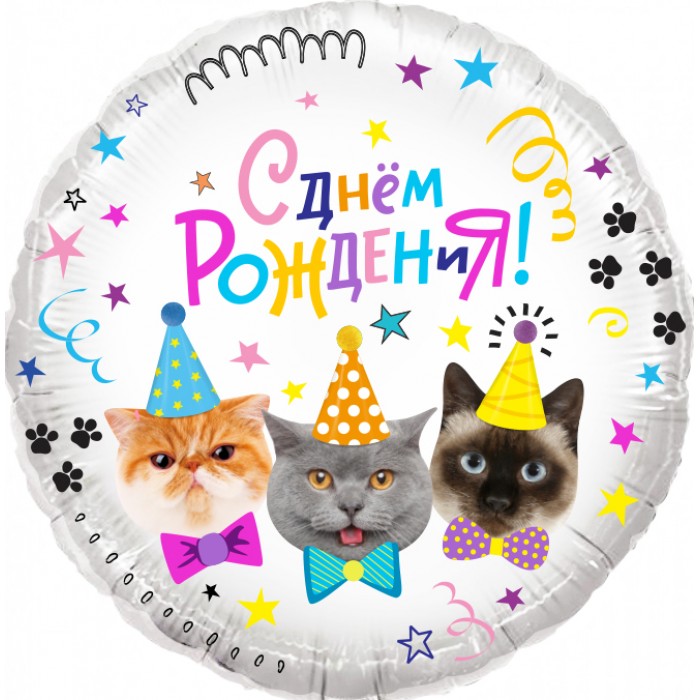 Шар-круг Пати у кошечек, С днем рождения