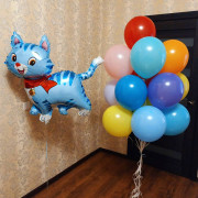 Сет из шаров для мальчика с котиком
