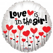Шар-круг Любовь витает в воздухе (Love is in the air)