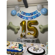 Набор из шаров на 15 лет с косточками для собаки в День рождения
