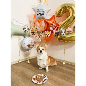 Композиция для собачки на 2 годика с косточкой и шариками в День рождения