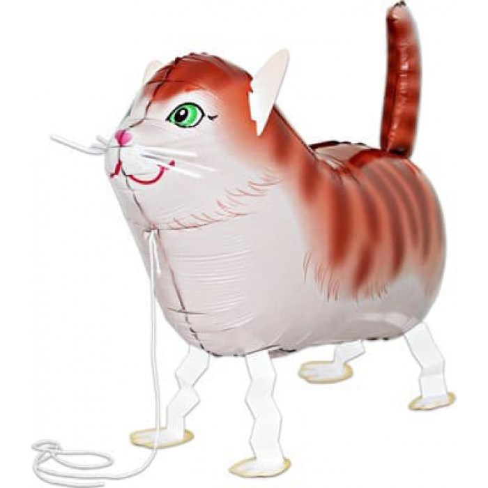 Ходячий шар Итальянский Кот с усами