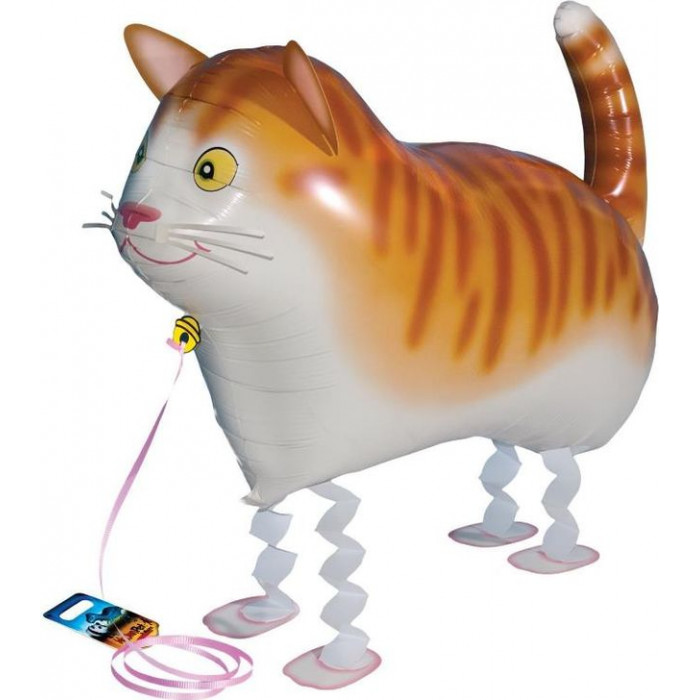 Ходячий шар Кот